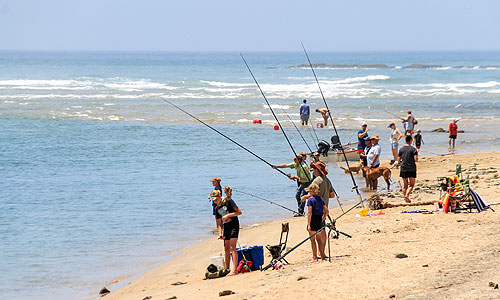 Fishing Kei Mouth