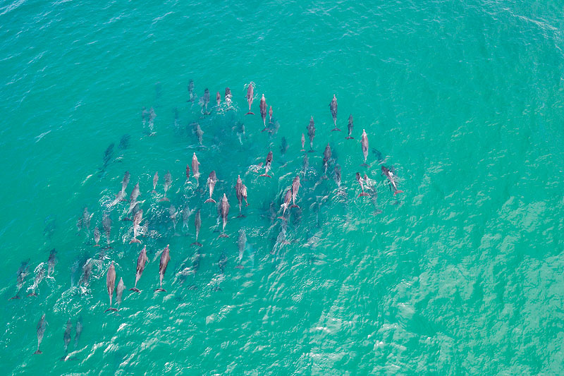 Protecting Biodiversity in Kei Mouth