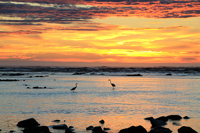 Protecting Biodiversity in Kei Mouth