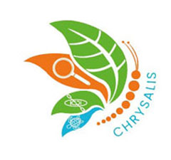 Chrysalis Training
