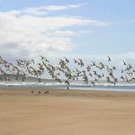 Kei Mouth beach
